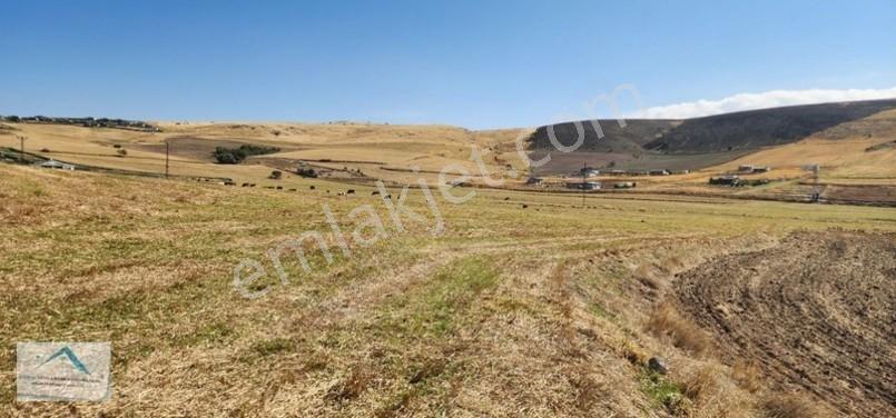 Beynam Mah 14.500 M2 Tek Tapu Çiftlik Arazisi — fotoğraf 16