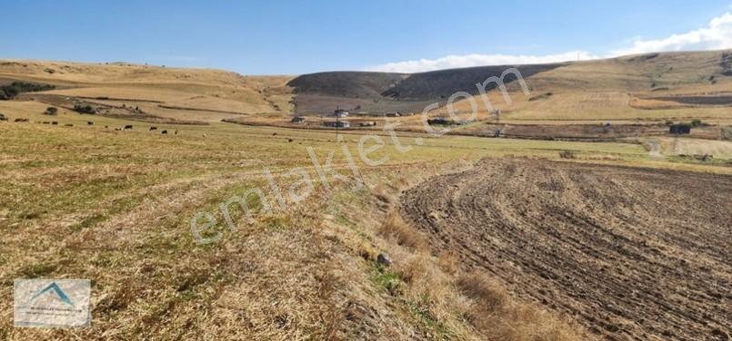 Beynam Mah 14.500 M2 Tek Tapu Çiftlik Arazisi — fotoğraf 17