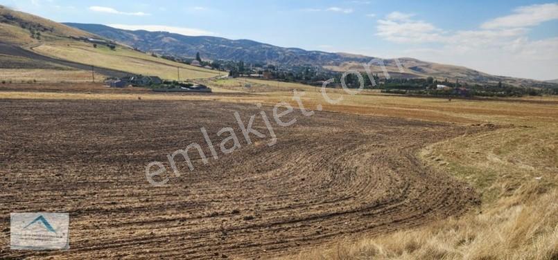 Beynam Mah 14.500 M2 Tek Tapu Çiftlik Arazisi — fotoğraf 18