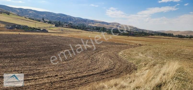 Beynam Mah 14.500 M2 Tek Tapu Çiftlik Arazisi — fotoğraf 19