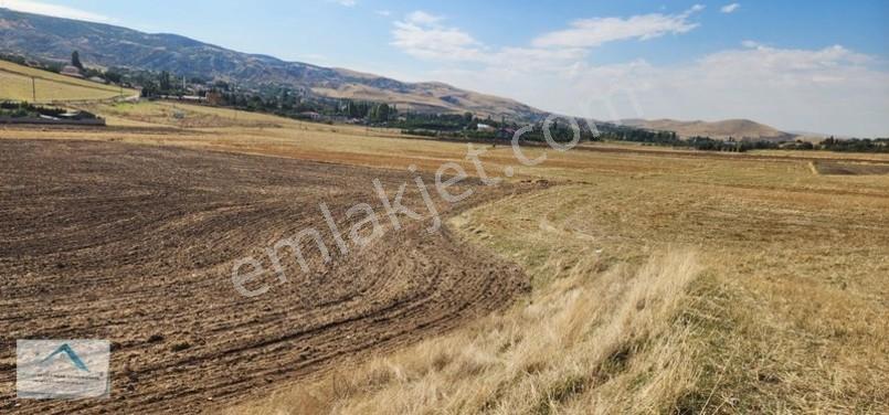 Beynam Mah 14.500 M2 Tek Tapu Çiftlik Arazisi — fotoğraf 20