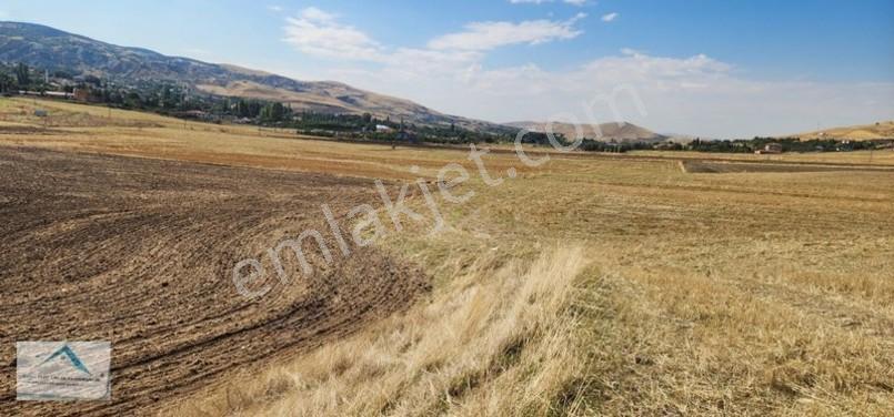 Beynam Mah 14.500 M2 Tek Tapu Çiftlik Arazisi — fotoğraf 21