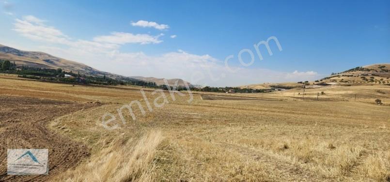 Beynam Mah 14.500 M2 Tek Tapu Çiftlik Arazisi — fotoğraf 22