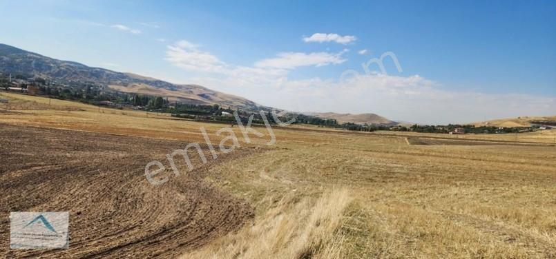 Beynam Mah 14.500 M2 Tek Tapu Çiftlik Arazisi — fotoğraf 23