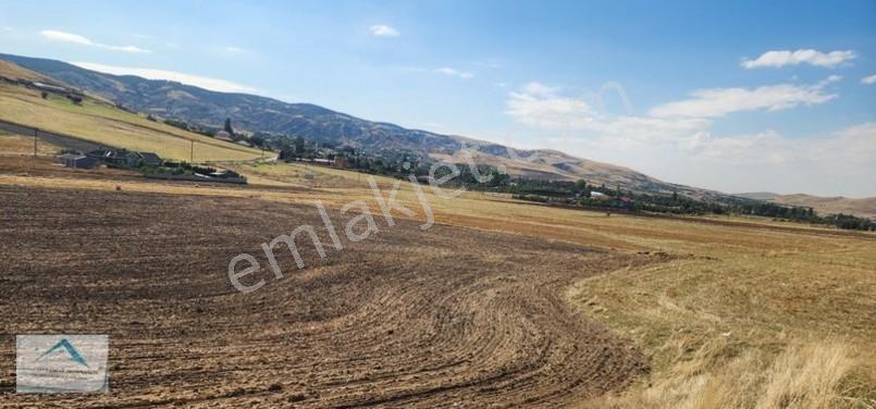 Beynam Mah 14.500 M2 Tek Tapu Çiftlik Arazisi — fotoğraf 24