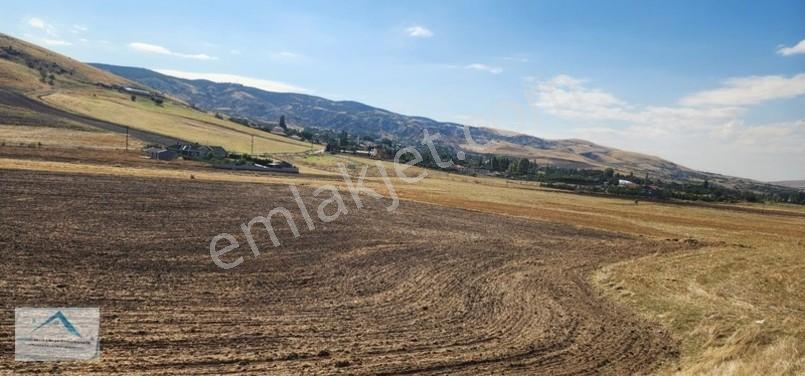 Beynam Mah 14.500 M2 Tek Tapu Çiftlik Arazisi — fotoğraf 25