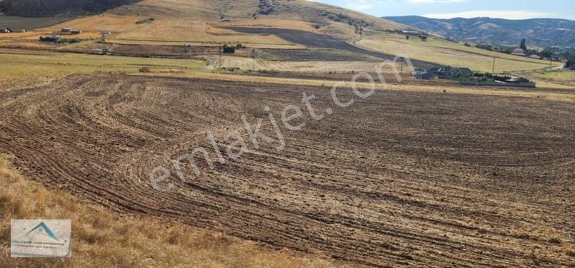 Beynam Mah 14.500 M2 Tek Tapu Çiftlik Arazisi — fotoğraf 26