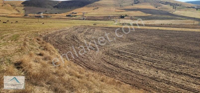 Beynam Mah 14.500 M2 Tek Tapu Çiftlik Arazisi — fotoğraf 27