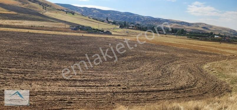 Beynam Mah 14.500 M2 Tek Tapu Çiftlik Arazisi — fotoğraf 28