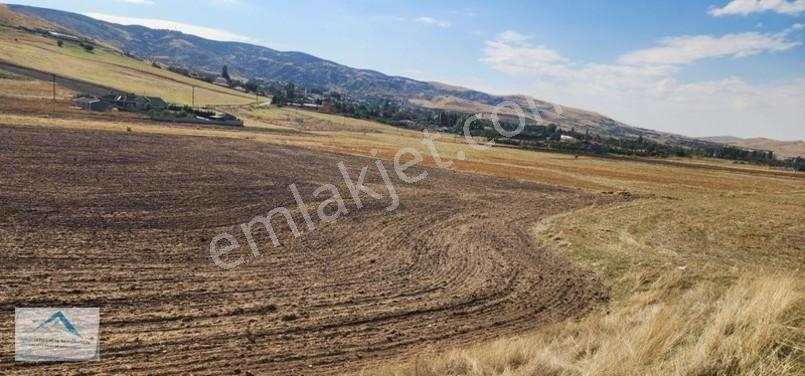 Beynam Mah 14.500 M2 Tek Tapu Çiftlik Arazisi — fotoğraf 29
