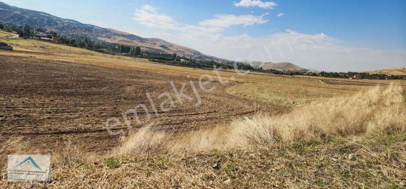 Beynam Mah 14.500 M2 Tek Tapu Çiftlik Arazisi — fotoğraf 30