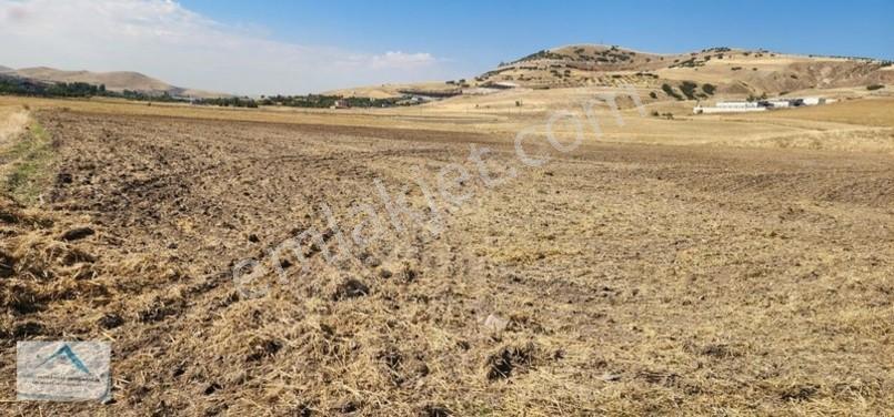 Beynam Mah 14.500 M2 Tek Tapu Çiftlik Arazisi — fotoğraf 31