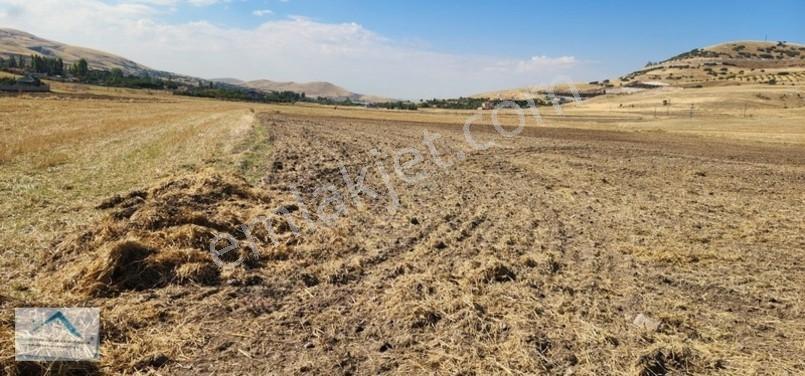Beynam Mah 14.500 M2 Tek Tapu Çiftlik Arazisi — fotoğraf 32