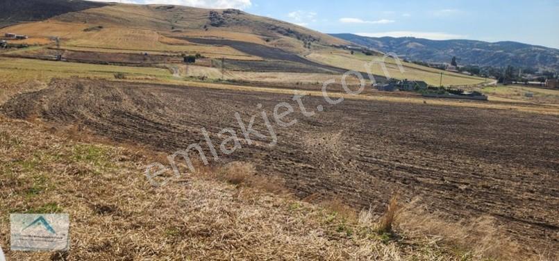 Beynam Mah 14.500 M2 Tek Tapu Çiftlik Arazisi — fotoğraf 33
