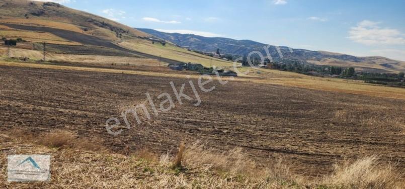 Beynam Mah 14.500 M2 Tek Tapu Çiftlik Arazisi — fotoğraf 34