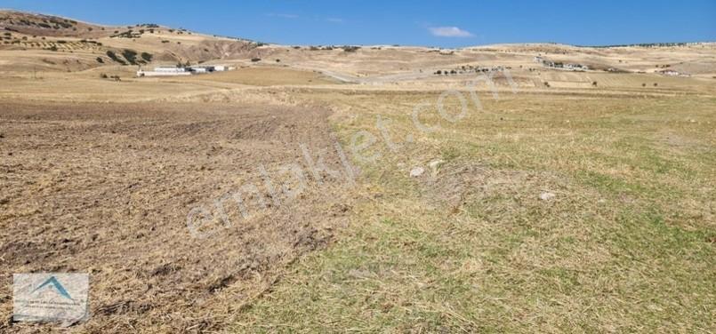 Beynam Mah 14.500 M2 Tek Tapu Çiftlik Arazisi — fotoğraf 35