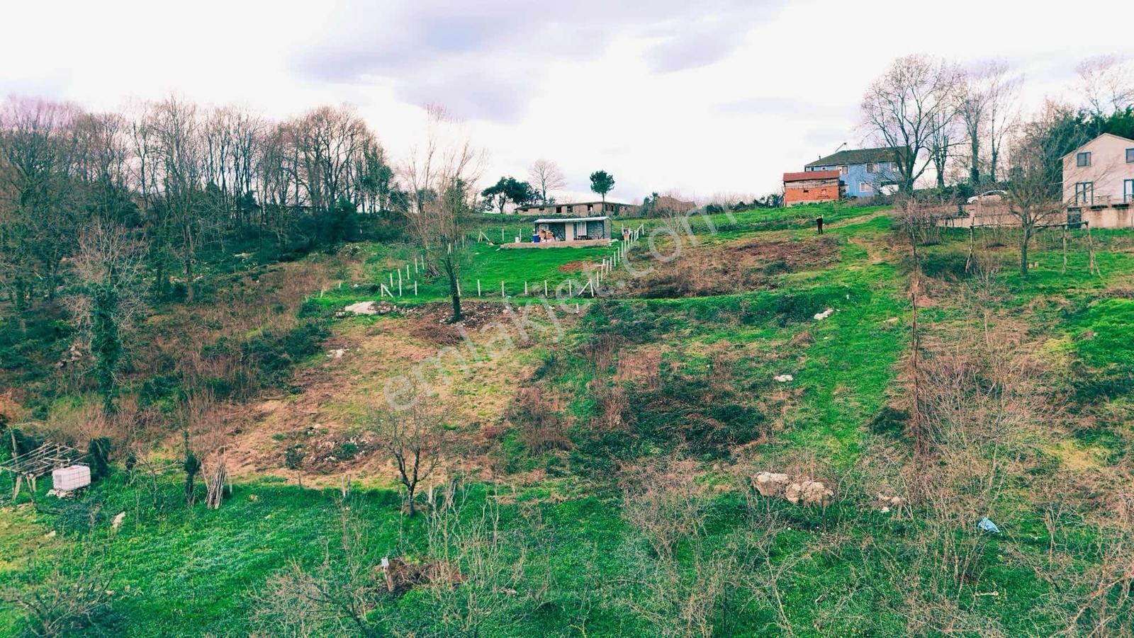 Balcıoğlundan Hayalinizdeki Villaya Uygun, Doğa Manzaralı Arsa ! — fotoğraf 2