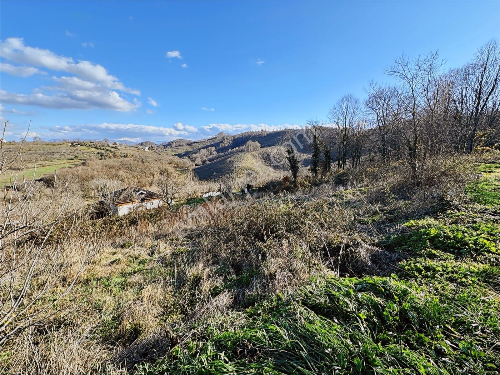 Balcıoğlundan Hayalinizdeki Villaya Uygun, Doğa Manzaralı Arsa ! — fotoğraf 4