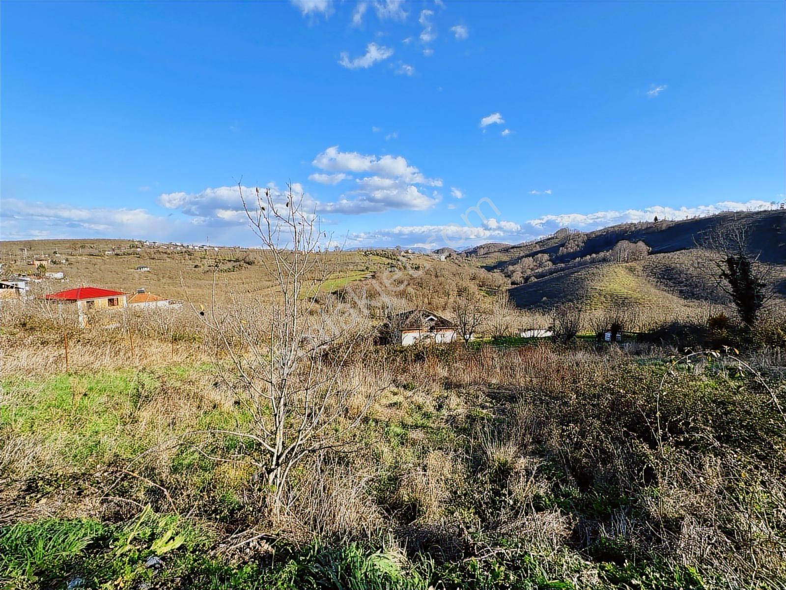 Balcıoğlundan Hayalinizdeki Villaya Uygun, Doğa Manzaralı Arsa ! — fotoğraf 5
