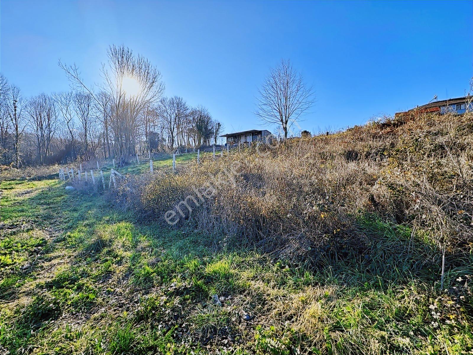 Balcıoğlundan Hayalinizdeki Villaya Uygun, Doğa Manzaralı Arsa ! — fotoğraf 8