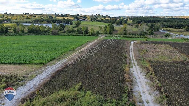 Remax Mavi Rıdvan Gedik'ten Korucukta 500 M² Konut İmarlı Arsa — fotoğraf 11