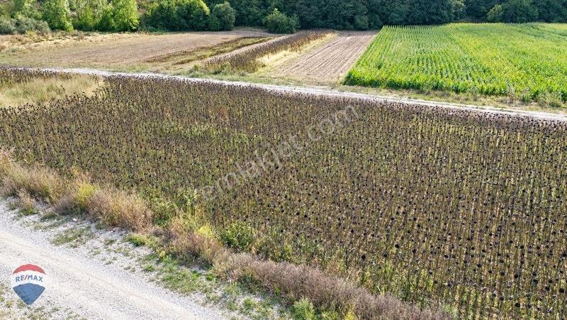 Remax Mavi Rıdvan Gedik'ten Korucukta 500 M² Konut İmarlı Arsa — fotoğraf 21