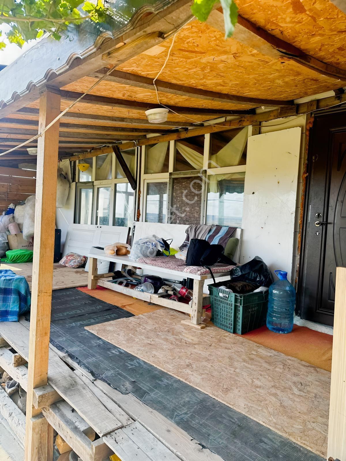 Silivri De Herşeyi İle Hazır Bag Ve Herçeşit Meyve Agacı — fotoğraf 3