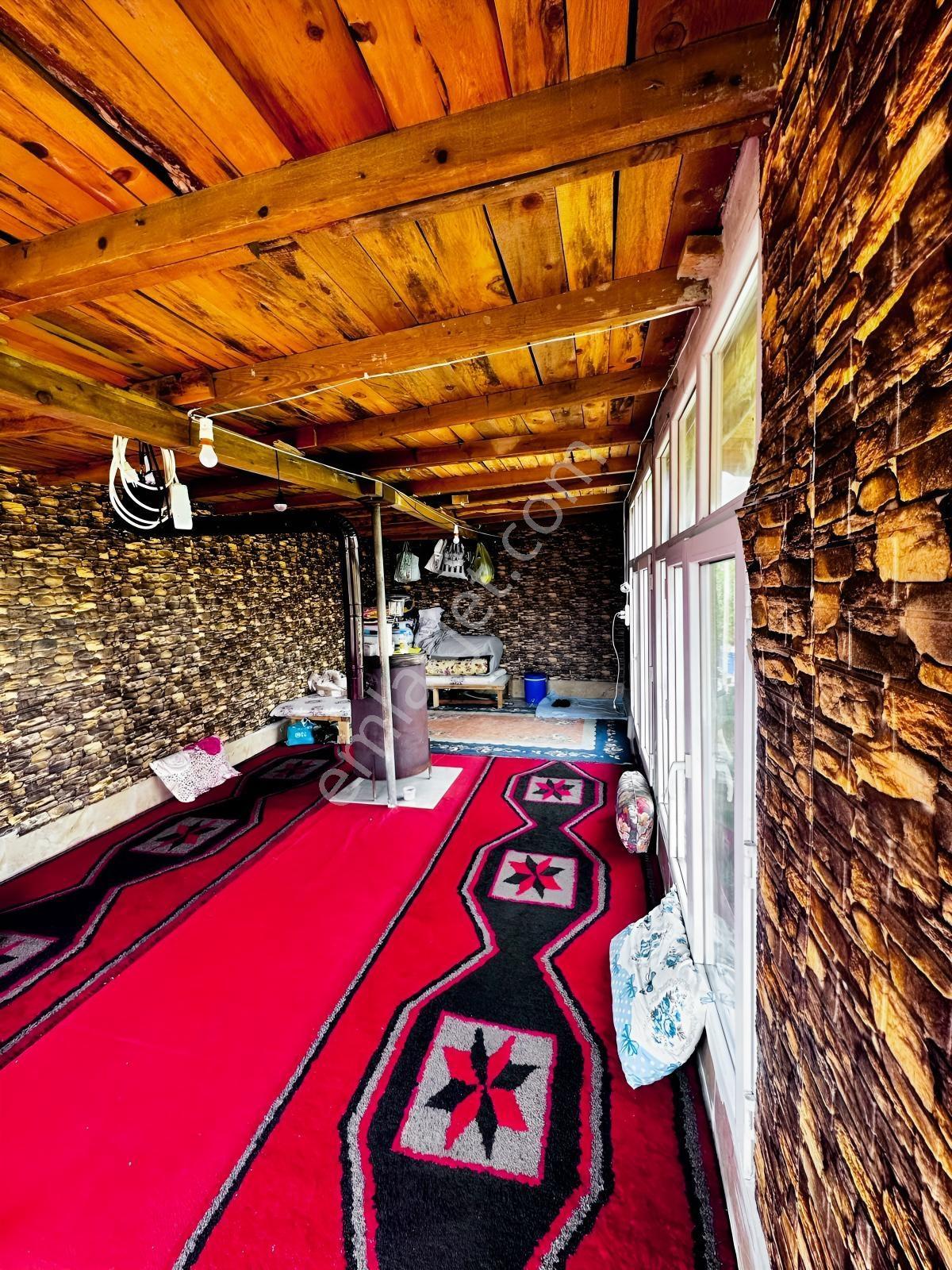 Silivri De Herşeyi İle Hazır Bag Ve Herçeşit Meyve Agacı — fotoğraf 6