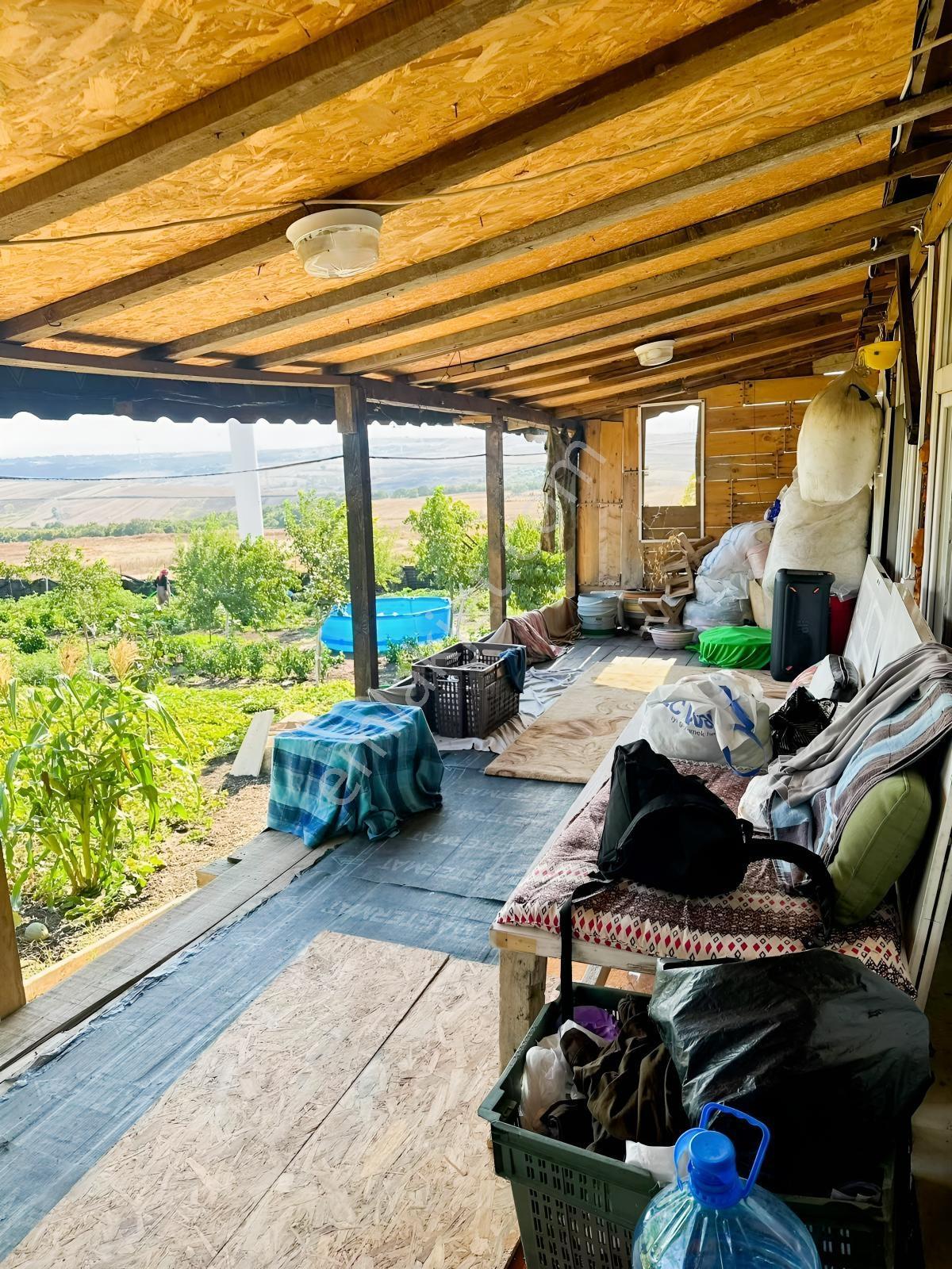 Silivri De Herşeyi İle Hazır Bag Ve Herçeşit Meyve Agacı — fotoğraf 8