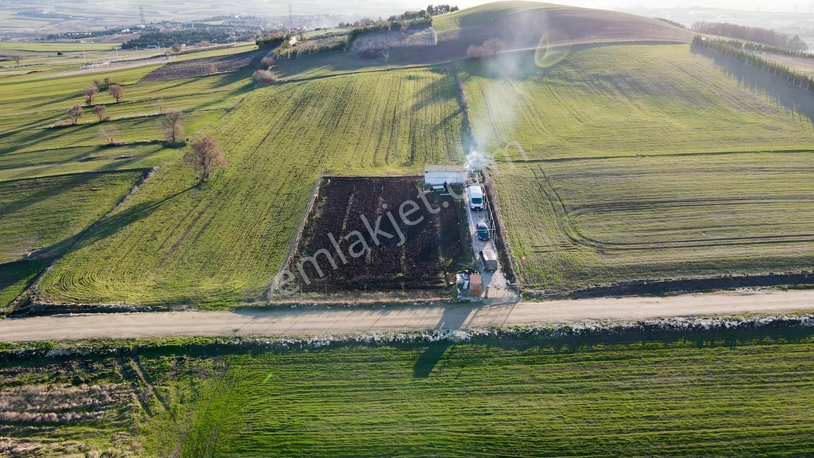 Silivri De Herşeyi İle Hazır Bag Ve Herçeşit Meyve Agacı — fotoğraf 11