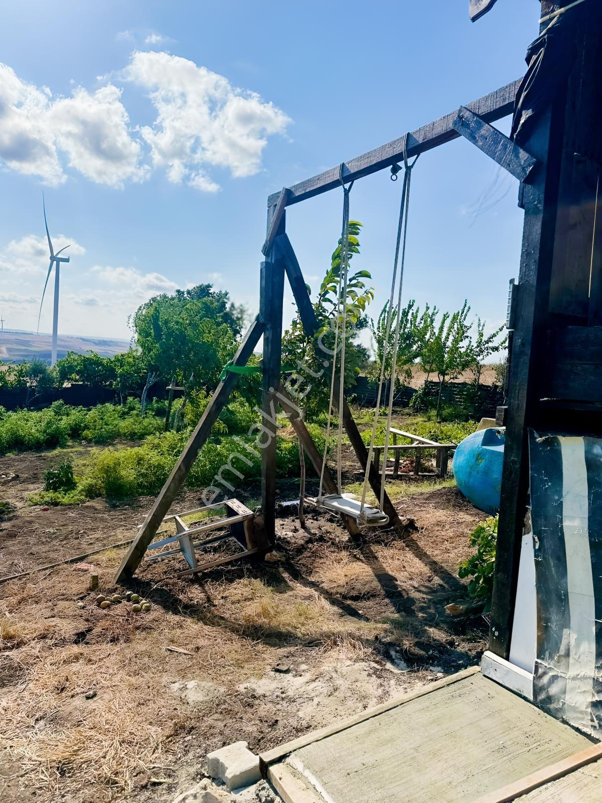 Silivri De Herşeyi İle Hazır Bag Ve Herçeşit Meyve Agacı — fotoğraf 13