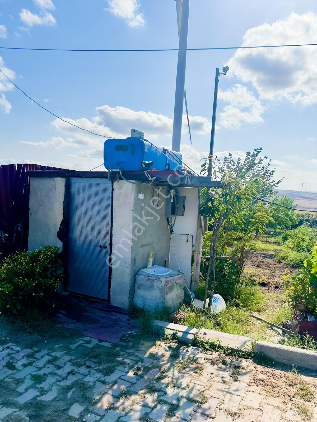 Silivri De Herşeyi İle Hazır Bag Ve Herçeşit Meyve Agacı — fotoğraf 15