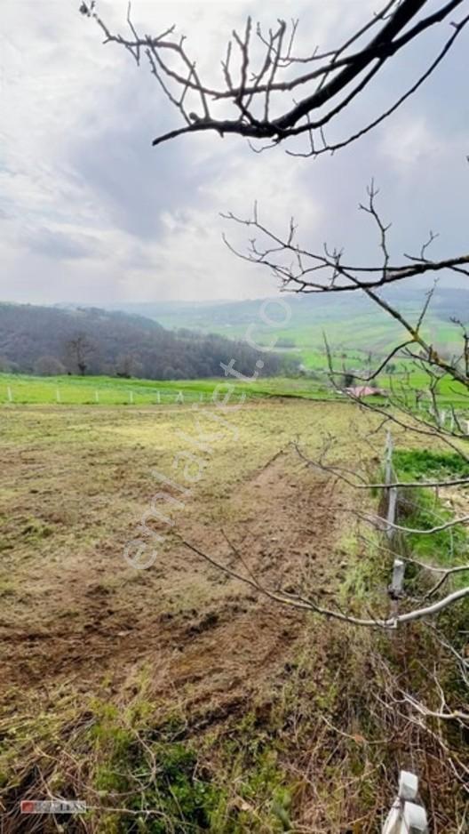 İstanbulun Dibinde Asfalt Yola Cepheli Fırsat Arsa!!! — fotoğraf 4