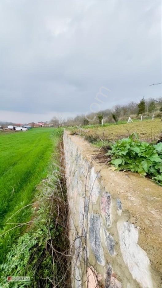 İstanbulun Dibinde Asfalt Yola Cepheli Fırsat Arsa!!! — fotoğraf 9