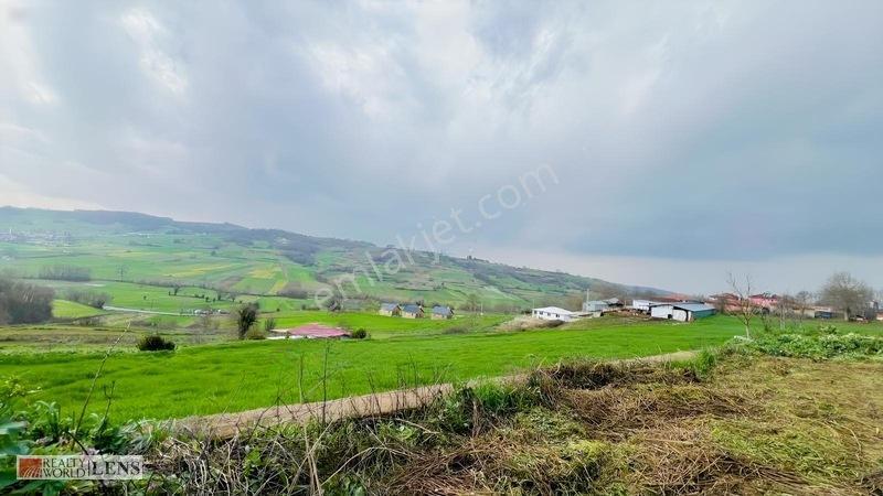 İstanbulun Dibinde Asfalt Yola Cepheli Fırsat Arsa!!! — fotoğraf 10