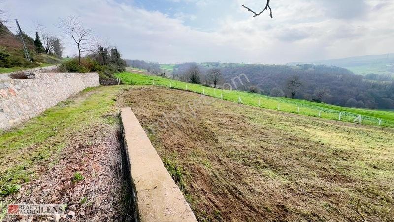 İstanbulun Dibinde Asfalt Yola Cepheli Fırsat Arsa!!! — fotoğraf 14