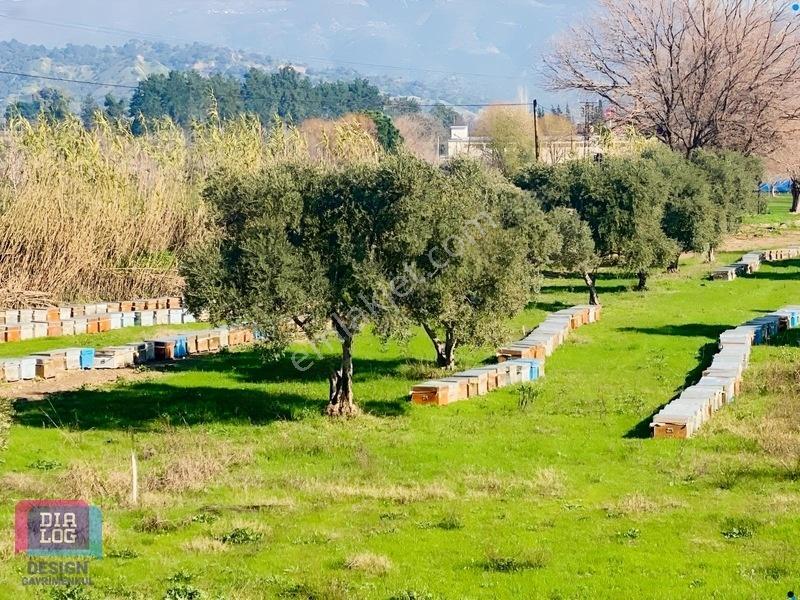 Aydın Osb Karşısında 106 M Yol Cepheli 10.103 M² Satılık Tarla — fotoğraf 15