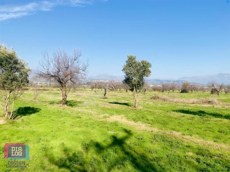 Aydın Osb Karşısında 106 M Yol Cepheli 10.103 M² Satılık Tarla — fotoğraf 16