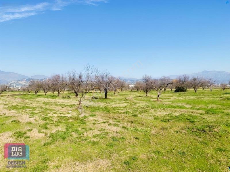 Aydın Osb Karşısında 106 M Yol Cepheli 10.103 M² Satılık Tarla — fotoğraf 18