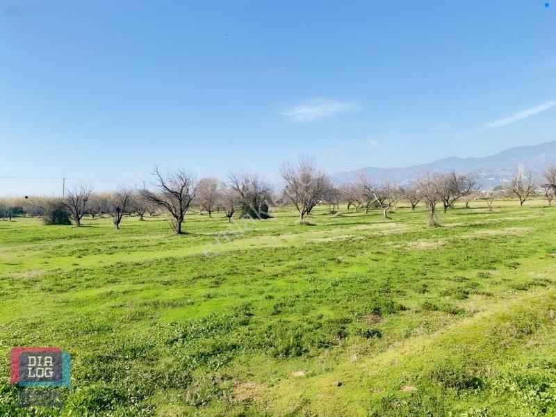 Aydın Osb Karşısında 106 M Yol Cepheli 10.103 M² Satılık Tarla — fotoğraf 19
