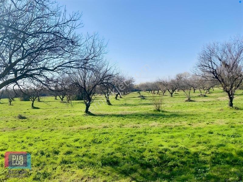 Aydın Osb Karşısında 106 M Yol Cepheli 10.103 M² Satılık Tarla — fotoğraf 21