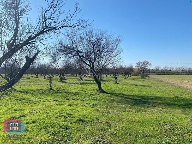 Aydın Osb Karşısında 106 M Yol Cepheli 10.103 M² Satılık Tarla — fotoğraf 22
