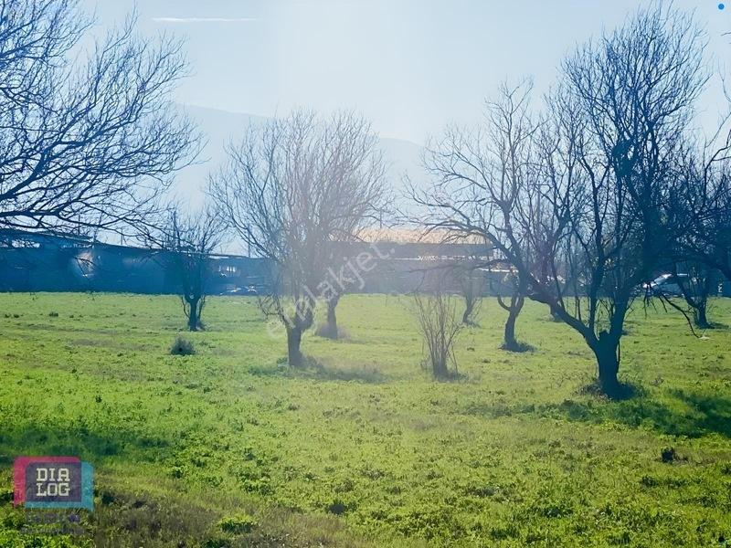 Aydın Osb Karşısında 106 M Yol Cepheli 10.103 M² Satılık Tarla — fotoğraf 23