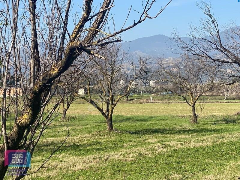 Aydın Osb Karşısında 106 M Yol Cepheli 10.103 M² Satılık Tarla — fotoğraf 26
