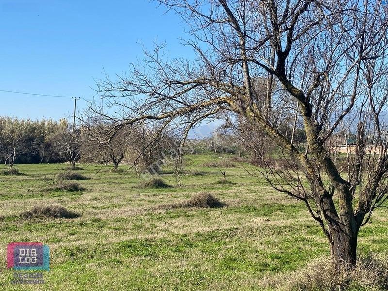 Aydın Osb Karşısında 106 M Yol Cepheli 10.103 M² Satılık Tarla — fotoğraf 27