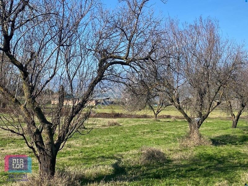 Aydın Osb Karşısında 106 M Yol Cepheli 10.103 M² Satılık Tarla — fotoğraf 28