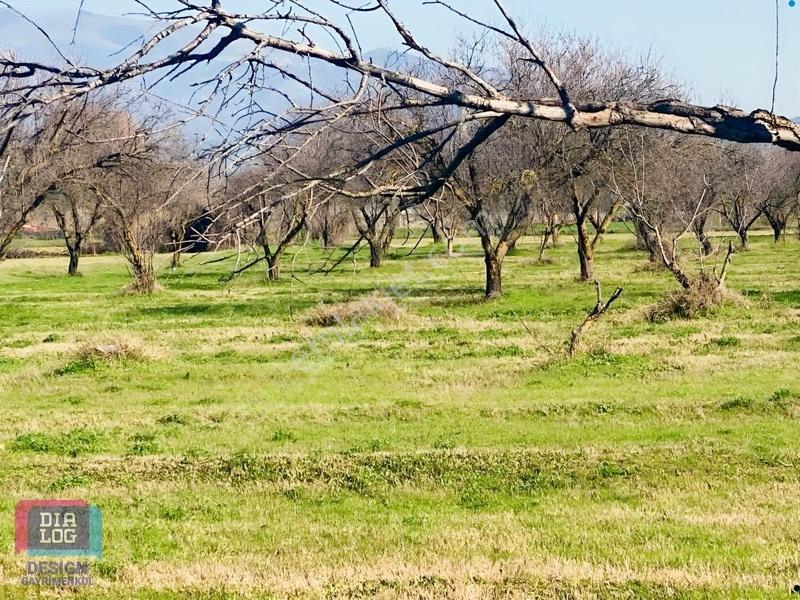 Aydın Osb Karşısında 106 M Yol Cepheli 10.103 M² Satılık Tarla — fotoğraf 31