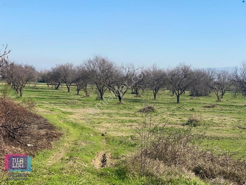 Aydın Osb Karşısında 106 M Yol Cepheli 10.103 M² Satılık Tarla — fotoğraf 32