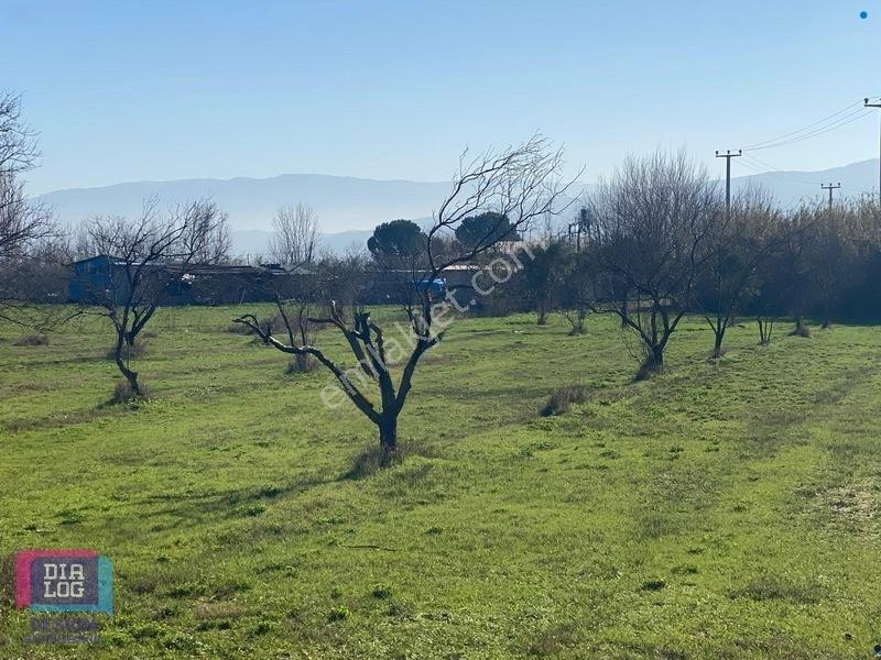Aydın Osb Karşısında 106 M Yol Cepheli 10.103 M² Satılık Tarla — fotoğraf 33