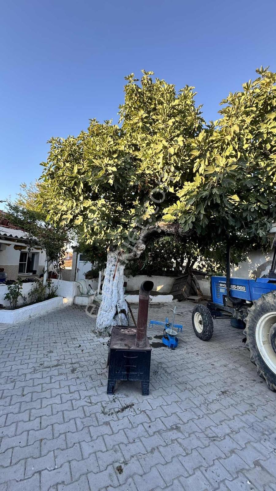 Pinus Gayrimenkulden Satılık Müstakil Ev — fotoğraf 4